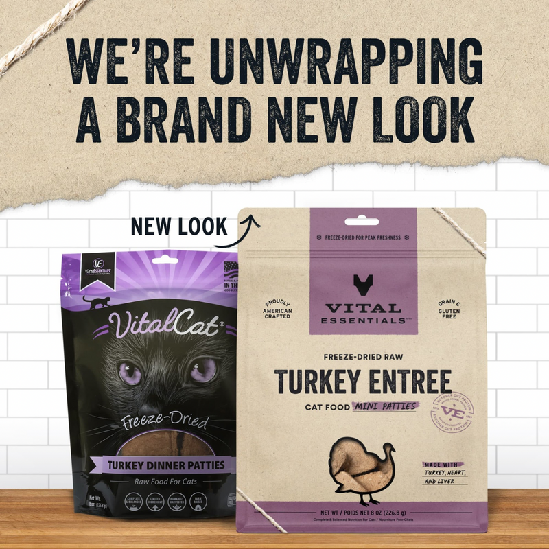 Purina beyond wild turkey and lentil clearance
