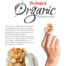 Organic Oven Baked Dog Treats - Apple Recipe - 14 oz