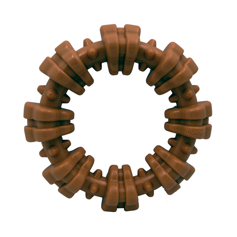 Dog Chewing Toy - POWER CHEW - Textured Ring (Flavor Medley)