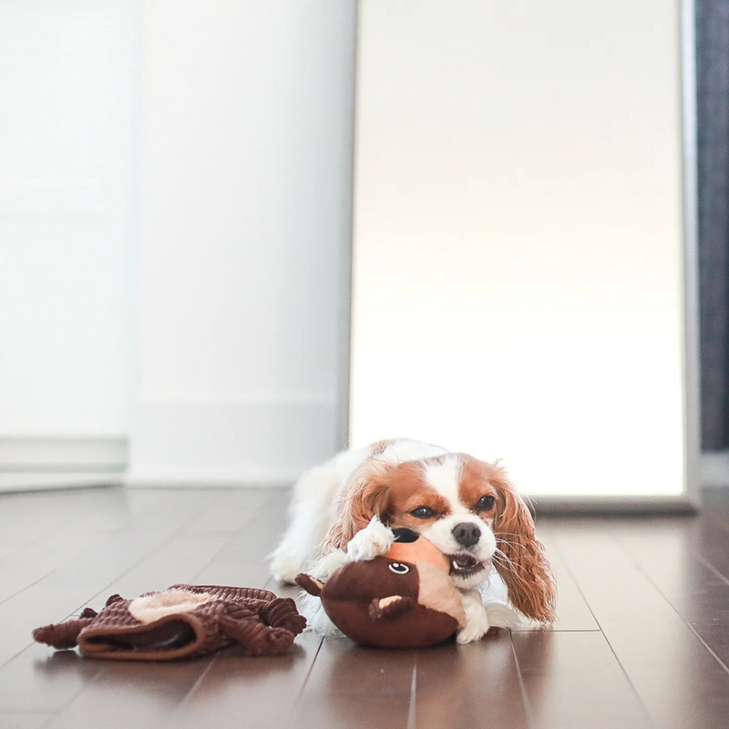 Rebuildable Dog Toy - Bernie The Beaver