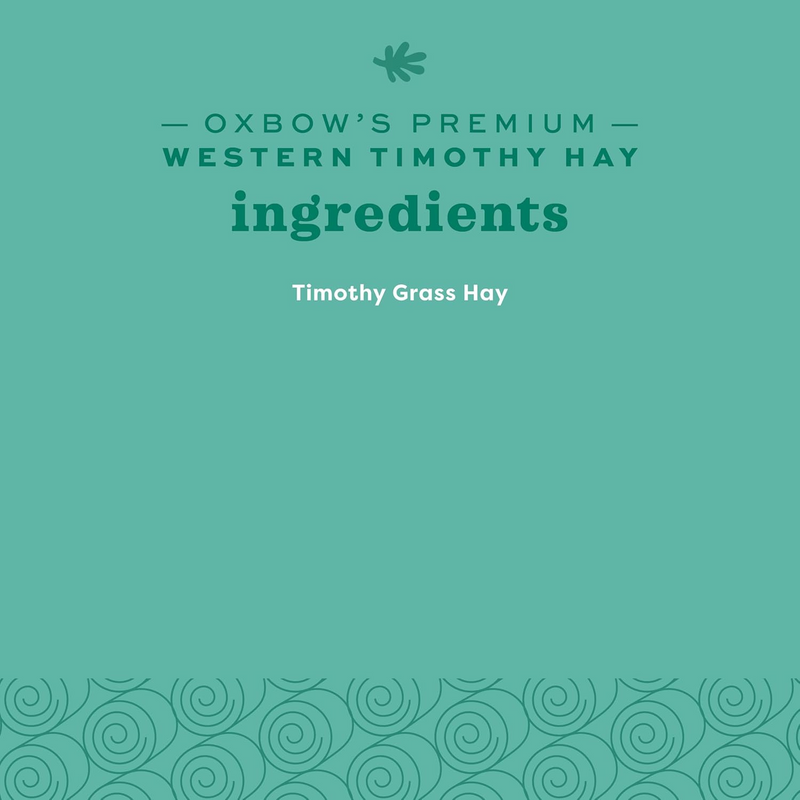 Western Timothy Hay