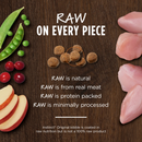 猫干粮 - 原版 - 生肉外层兔肉配方