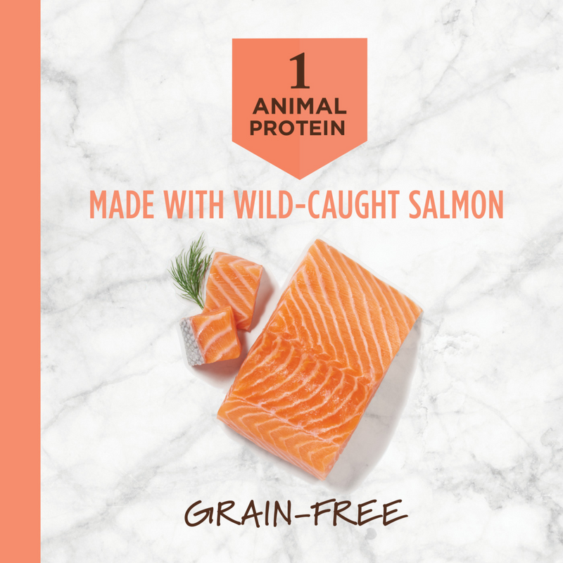 Dry Cat Food - LID - Raw Coated - Grain Free Salmon Recipe For Adult Cats - 4.5 lb