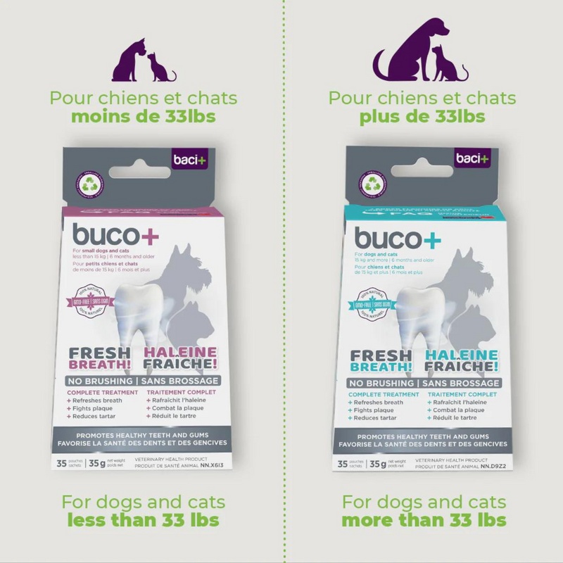 Buco + soins dentaires pour chats et petits chiens