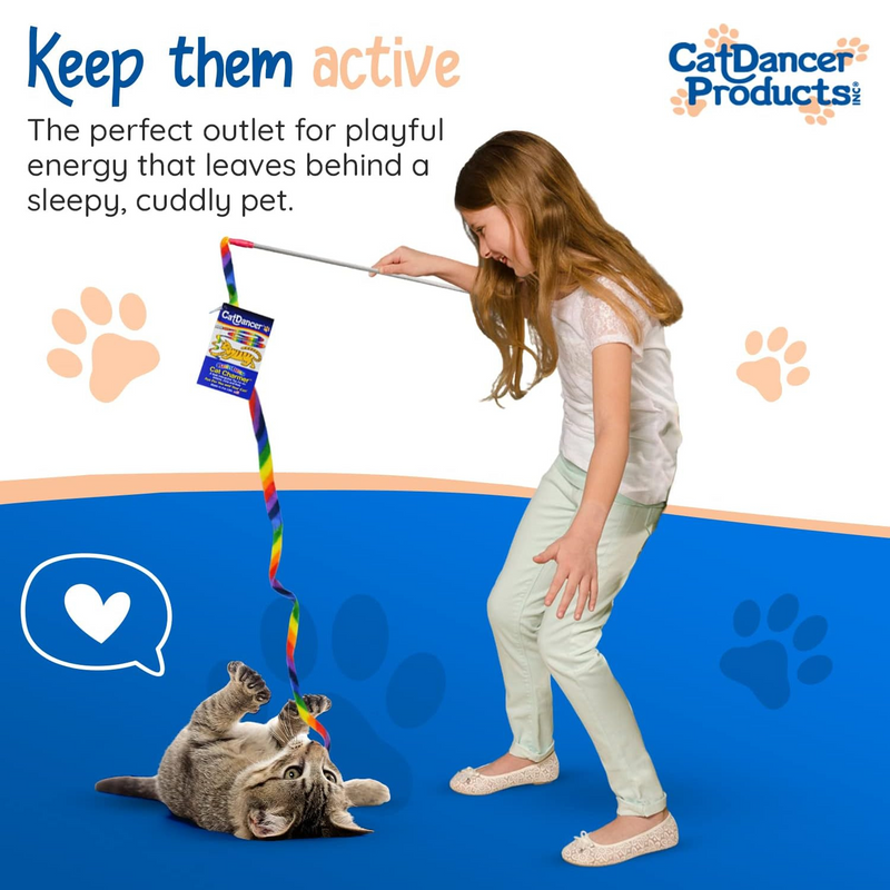 Interactive Cat Toy - Cat Charmer Rainbow Edition