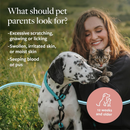 Hot Spot & Itch Relief Medicated Shampoo For Dogs & Cats - 16 fl oz