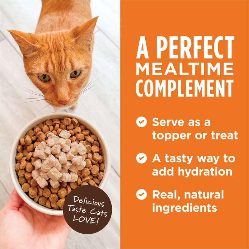 Wet Cat Food Topper - HEALTHY CRAVINGS - Real Chicken Recipe - 3 oz pouch