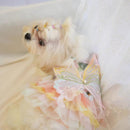 Pet Rainbow Flutter Dress with Butterfly
