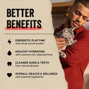 Freeze Dried Cat Food - Pork Entree - Mini Patties