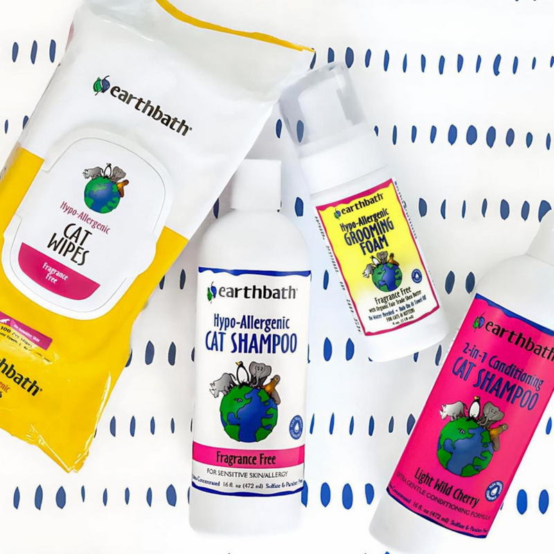 Earthbath Hypo Allergenic Fragrance Free Cat Shampoo