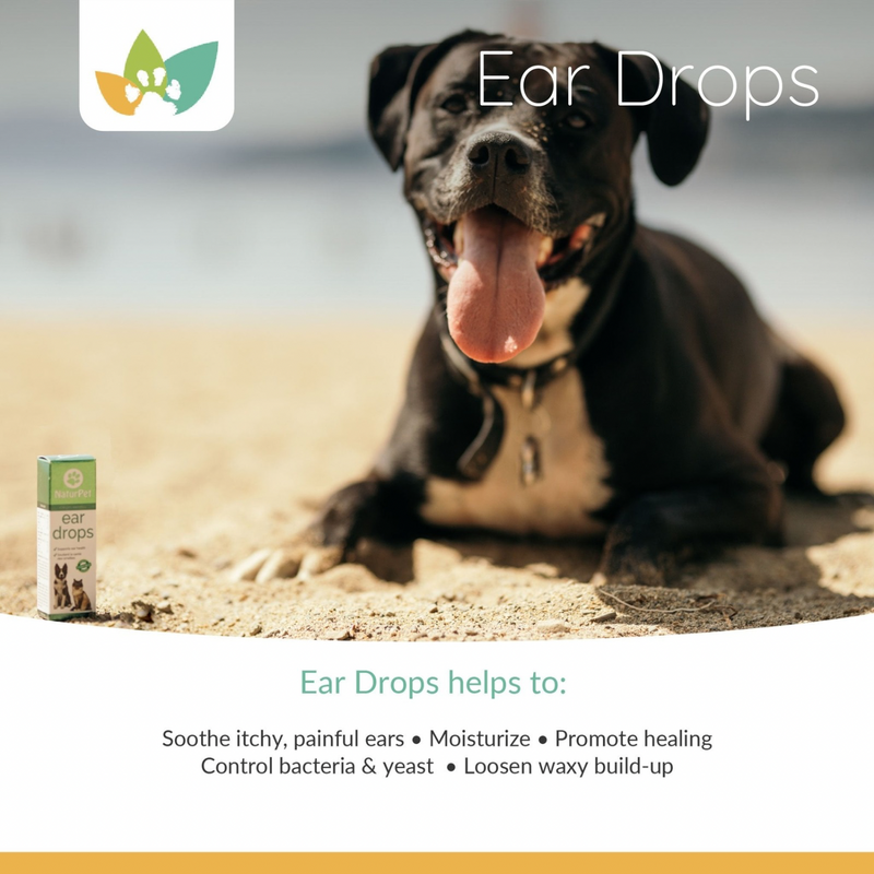 Ear Drops For Dogs Cats For Cleaning Swimming Protection 10 ml J J Pet Club