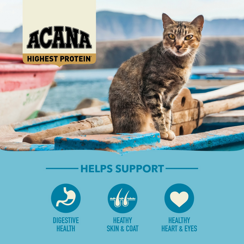 Dry Cat Food - HIGHEST PROTEIN - Pacifica