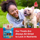 Air Dried Dog Treat - THINKERS - Salmon Meat Stick