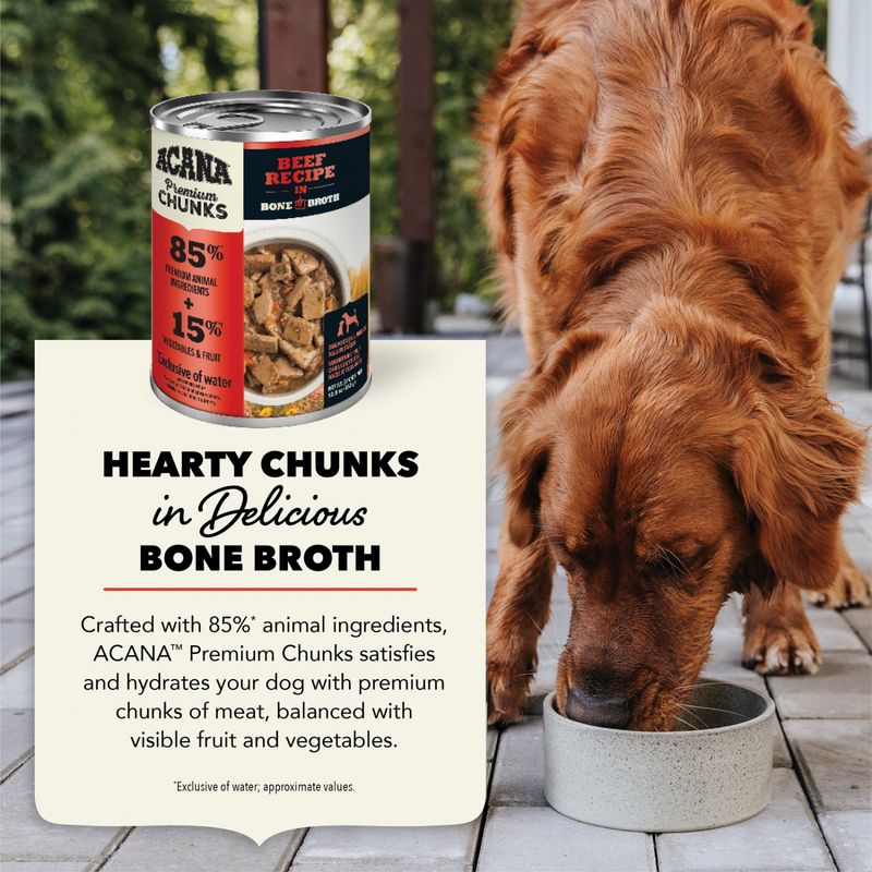 Canned Dog Food - Chunks - Beef Recipe in Bone Broth - 363 g