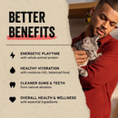 Traitement de chat lyophilisé - Giblets de poulet - 1 oz