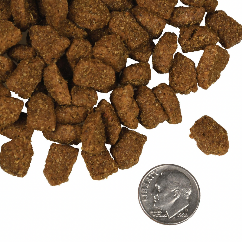 Dry Dog Food - FOUR STAR - Highlander Beef, Oats, 'n Barley Recipe