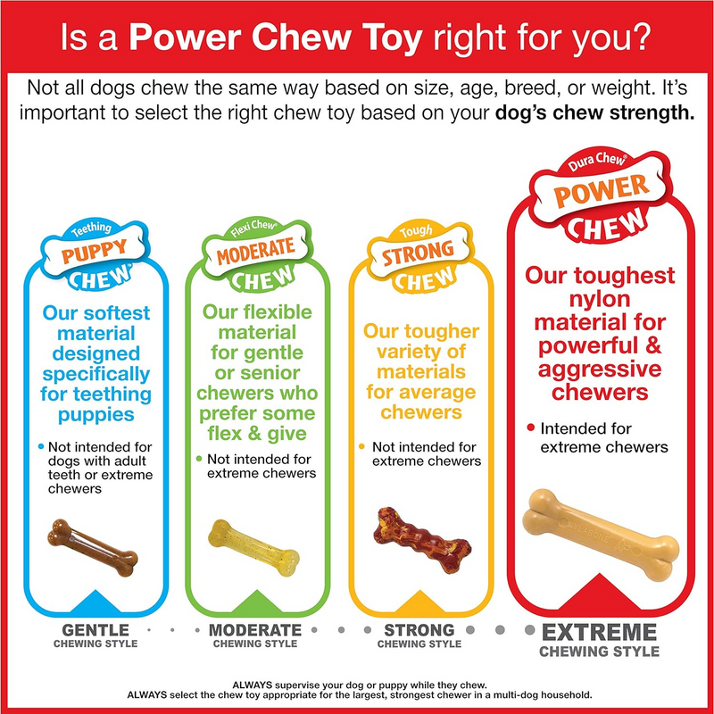 Jouet à mâcher de chien - Power Chew - Wishbone (saveur originale)