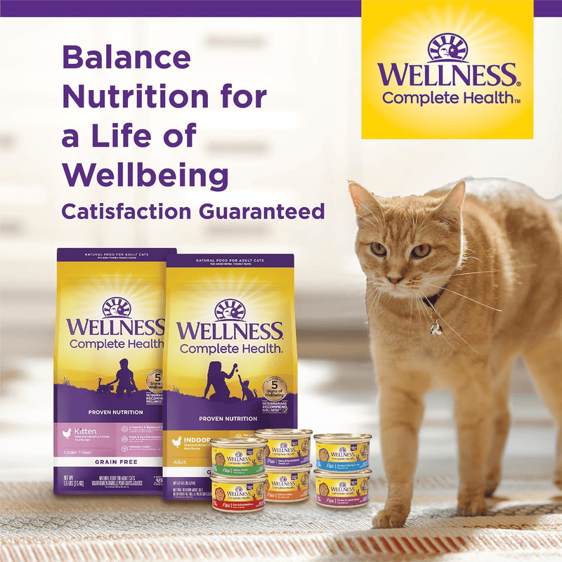 Canned Cat Food - COMPLETE HEALTH - Pâté - Chicken & Lobster Dinner - J & J Pet Club - Wellness