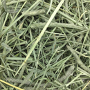 Western Timothy Hay