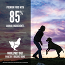 Dry Dog Food - Puppy Large