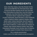 Dry Cat Food - RAW BOOST - Healthy Weight Recipe with Real Chicken - Adult