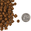 猫干粮 - Four Star - 无谷鸡鸭海鲜配方 （绿福）