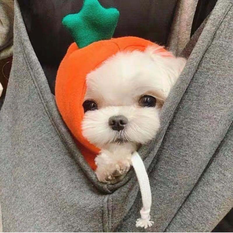 Pet Costume - Cute Hoodies