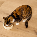 Canned Cat Food - Grain Free Chicken & Grass Fed Beef Pâté