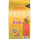 Dry Cat Food - BORN CARNIVORE - Indoor Health: Chicken & Turkey Meal Recipe