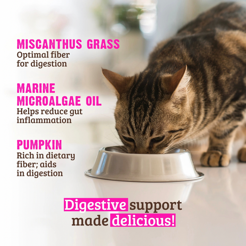 猫罐头 - 消化辅助 - 鸡肉猪肉南瓜肉酱