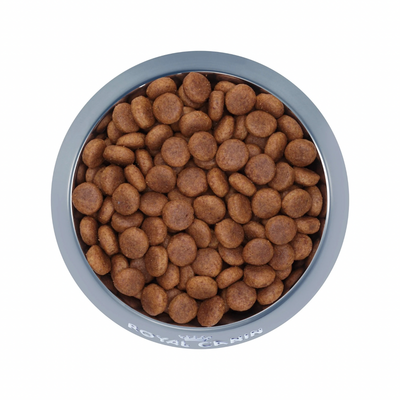 狗干粮 - HEALTH NUTRITION - 大型成年犬