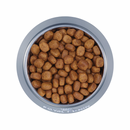 成猫干粮 - 口腔护理