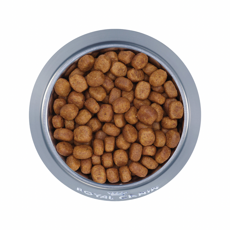 成猫干粮 - 口腔护理