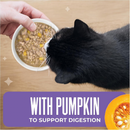 Wet Cat Food - Friends - Minced Chicken, Pumpkin & Tuna in Broth