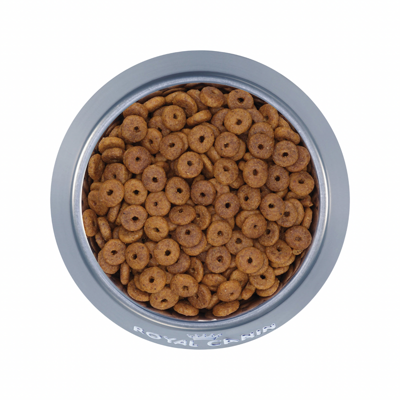 成猫干粮 - 促进消化