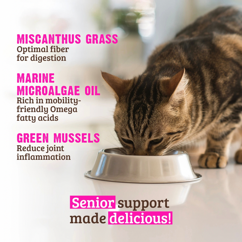 猫罐头 - 老年猫配方 - 鸡肉青口贝南瓜肉酱