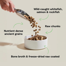 Dry Dog Food - RawMix - Wild Ocean Recipe - Ancient Grains
