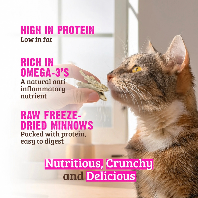 Crunchy Cat Treat - Freeze Dried Minnows
