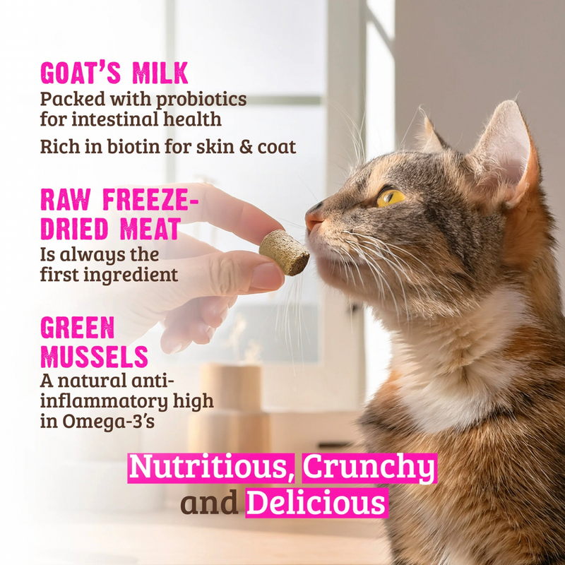 Crunchy Cat Treat - Freeze Dried Rabbit, Goat's Milk & Green Mussels