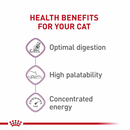 成猫干粮 - 敏感胃