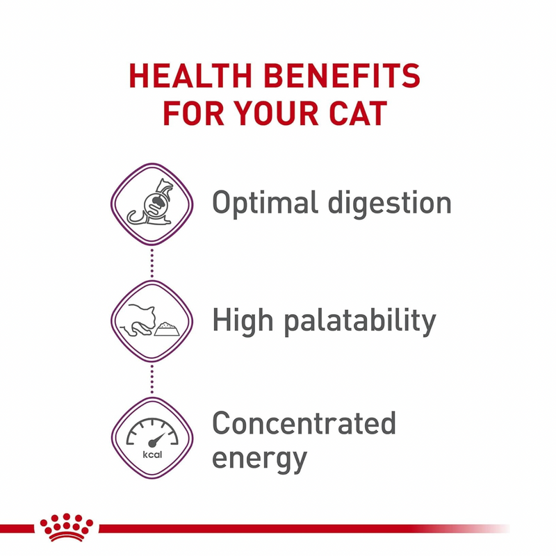 成猫干粮 - 敏感胃