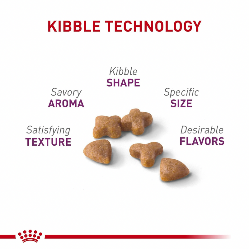 成猫干粮 - 敏感胃