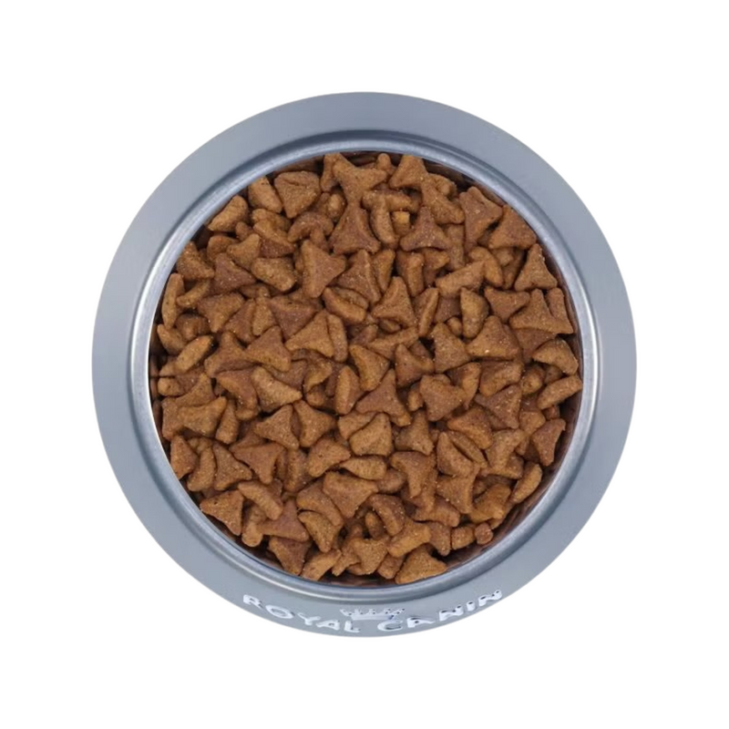 成猫干粮 - 室内猫毛球护理 - 3磅