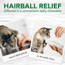Cat Supplement - Hairball Relief Digestive Aid