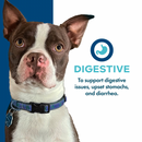 Canned Dog Food Supplement - Nutritionals - Digestive Pâté