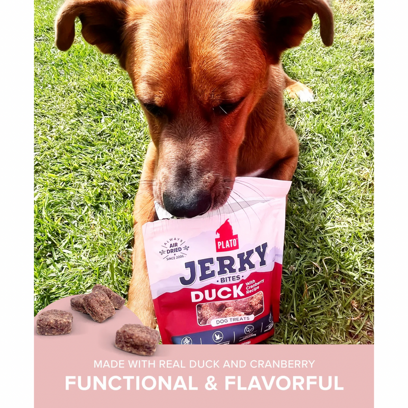 Air Dried Dog Treat - Duck with Cranberry Jerky Bites