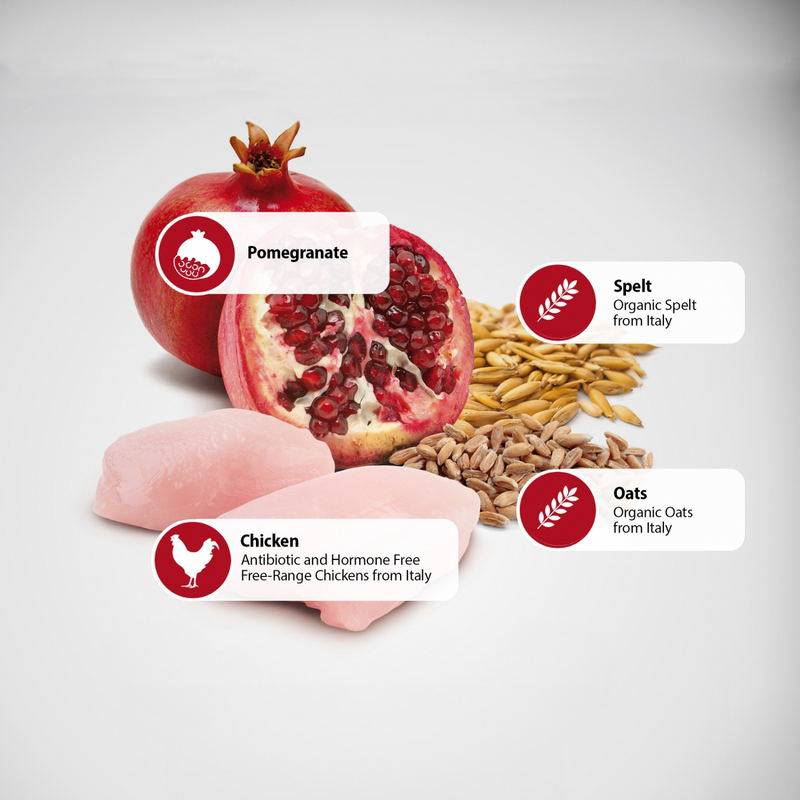 Dry Cat Food - N & D - ANCESTRAL GRAIN - Chicken & Pomegranate - Adult