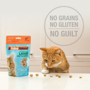 Traitement de chat lyophilisé - Mides saines - Bœuf et organes - 1,76 oz