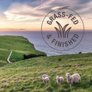 Nourriture pour chats en conserve - fête du bœuf