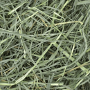 Orchard Grass Hay